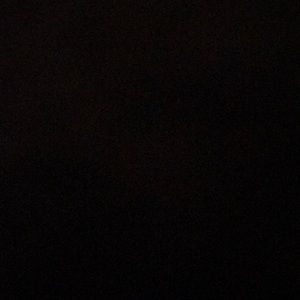 Meet your Posher, Trenton